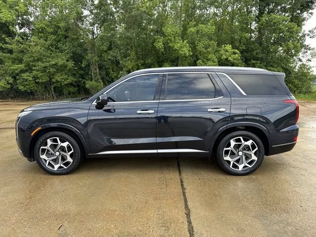 2022 Hyundai Palisade — detail view